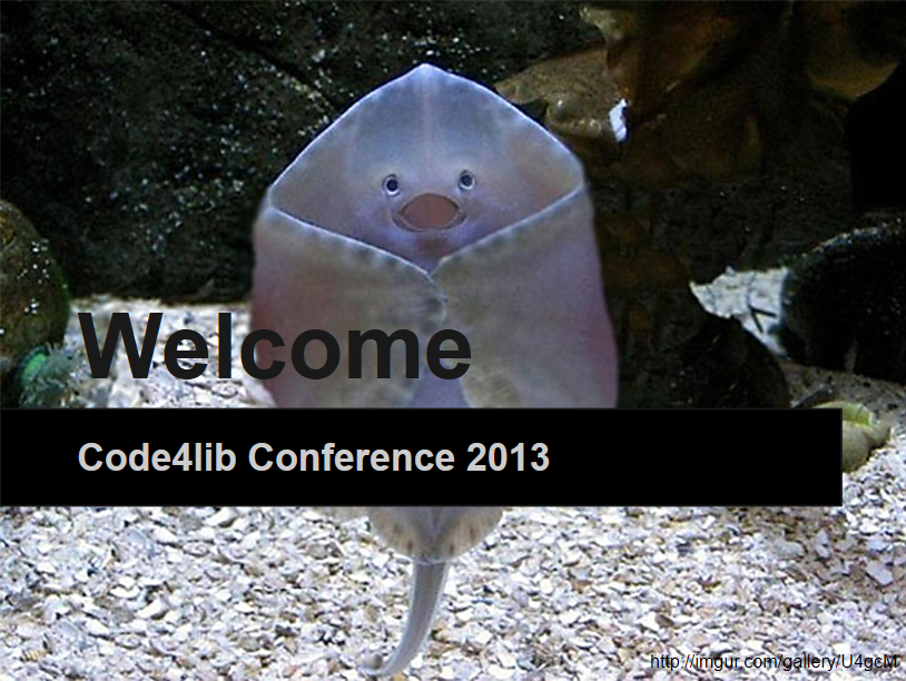 presentation pictures example