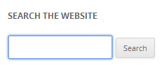 search box with showing blue outline around it